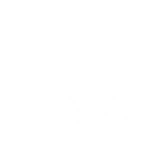 phone_icon