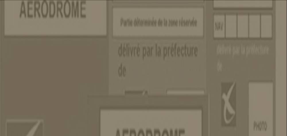 vignette